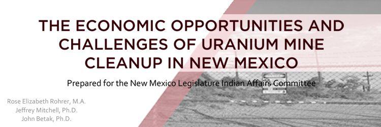 The Economic Opportunities And Challenges Of Uranium Mine Cleanup In New Mexico feature image