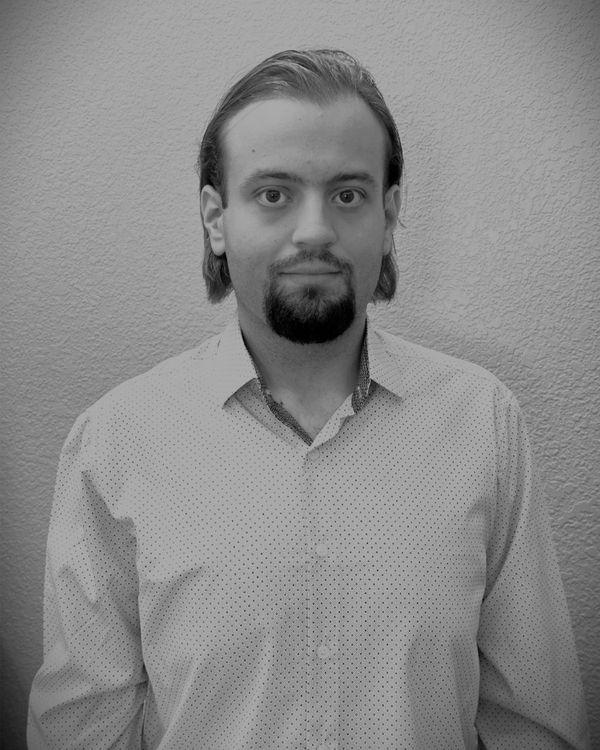 Portrait of Marcu Andrei Dumitrescu